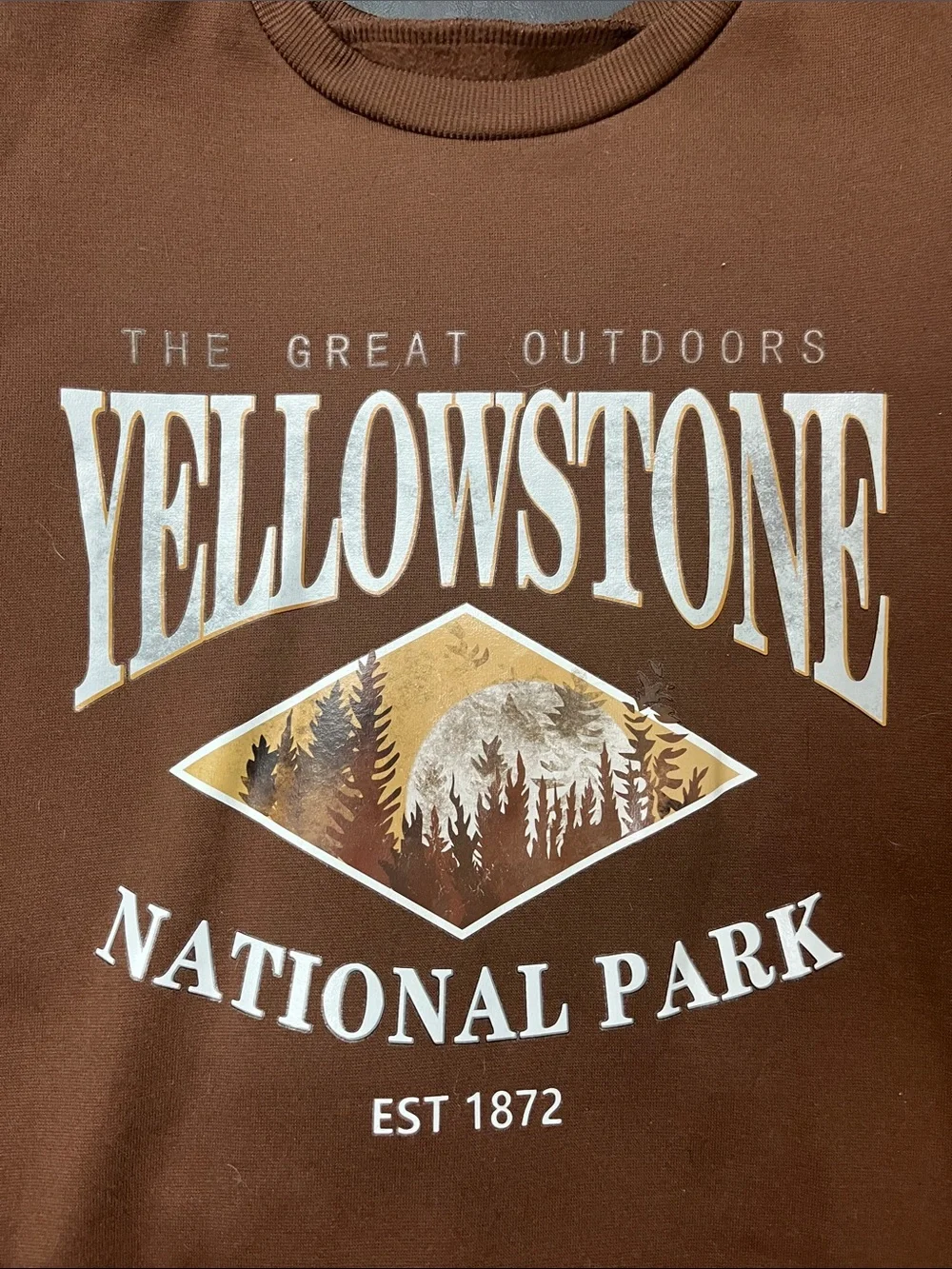 J. Crew Brown Yellowstone National Park Crewneck Sweater